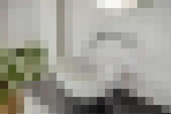 Colenso 30 Soest thumbnail 22