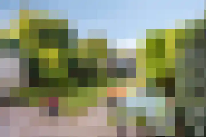 Colenso 30 Soest thumbnail 32