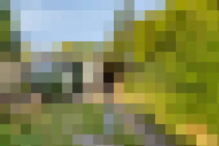 Colenso 30 Soest thumbnail 33