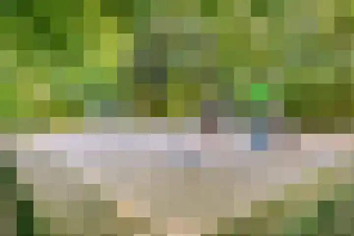 Colenso 30 Soest thumbnail 38