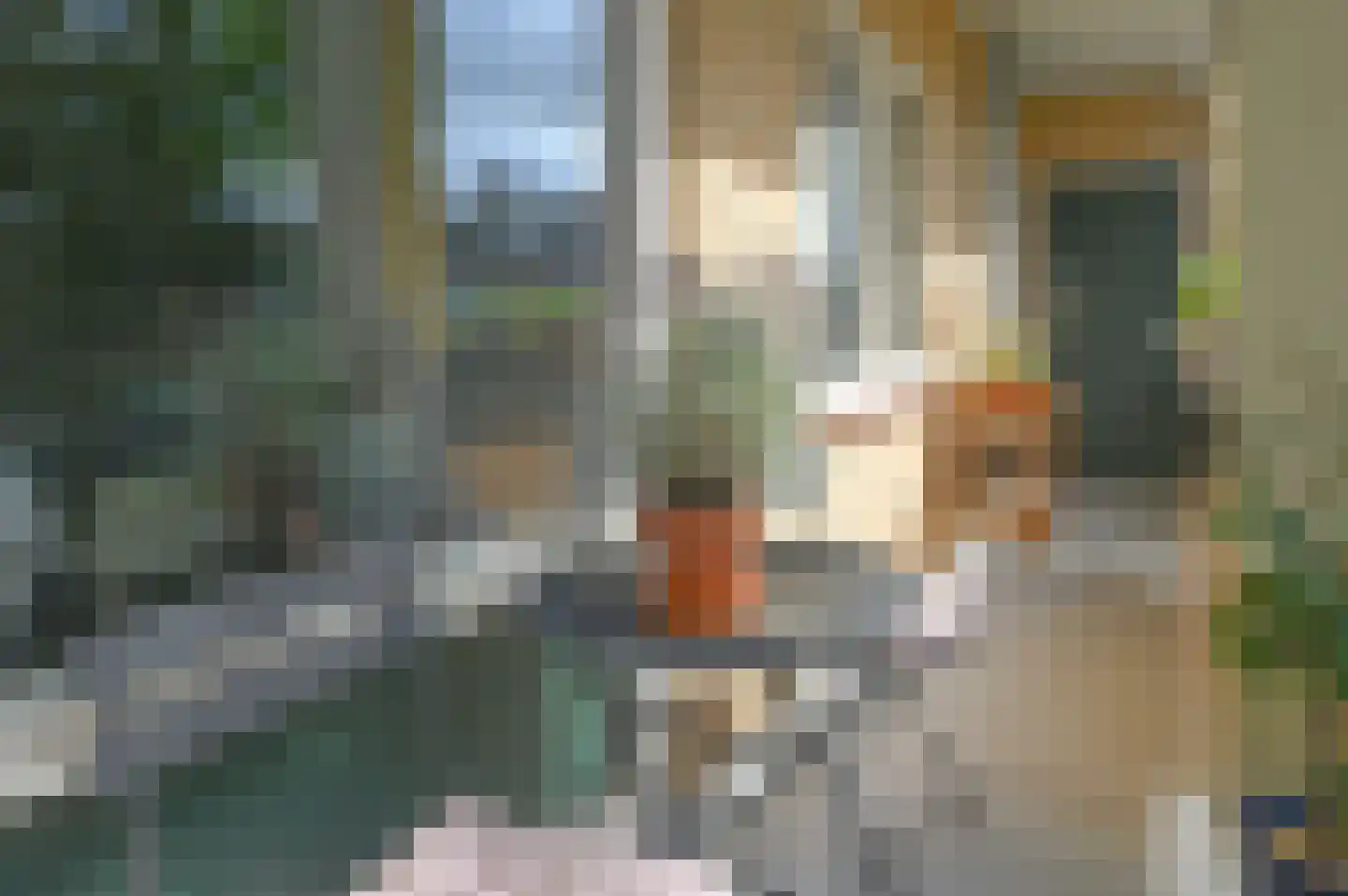 Colenso 56 Soest thumbnail 19