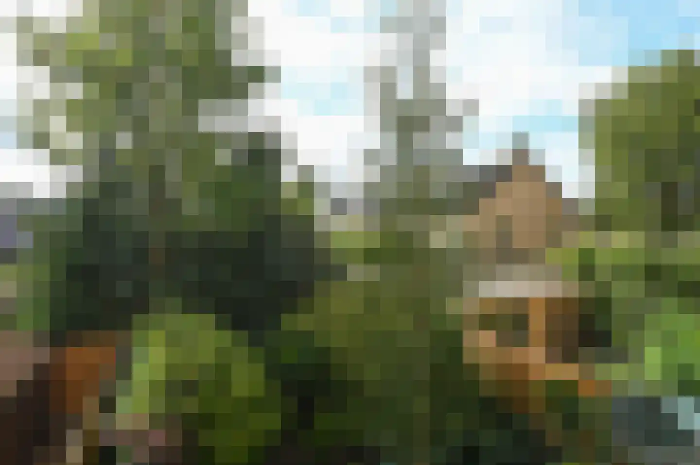 Colenso 56 Soest thumbnail 21