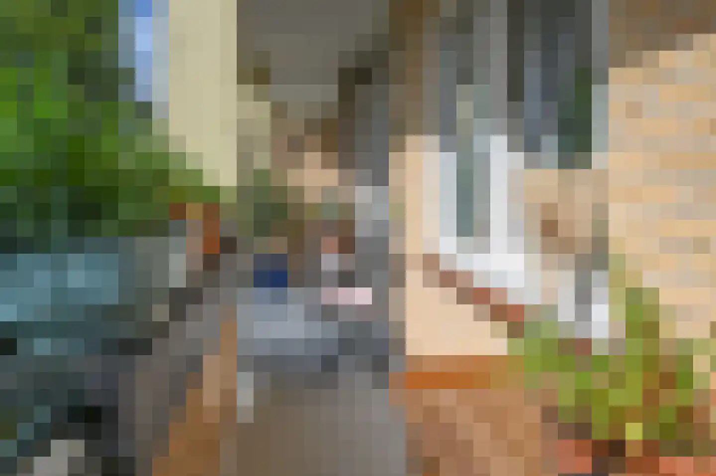 Colenso 56 Soest thumbnail 22