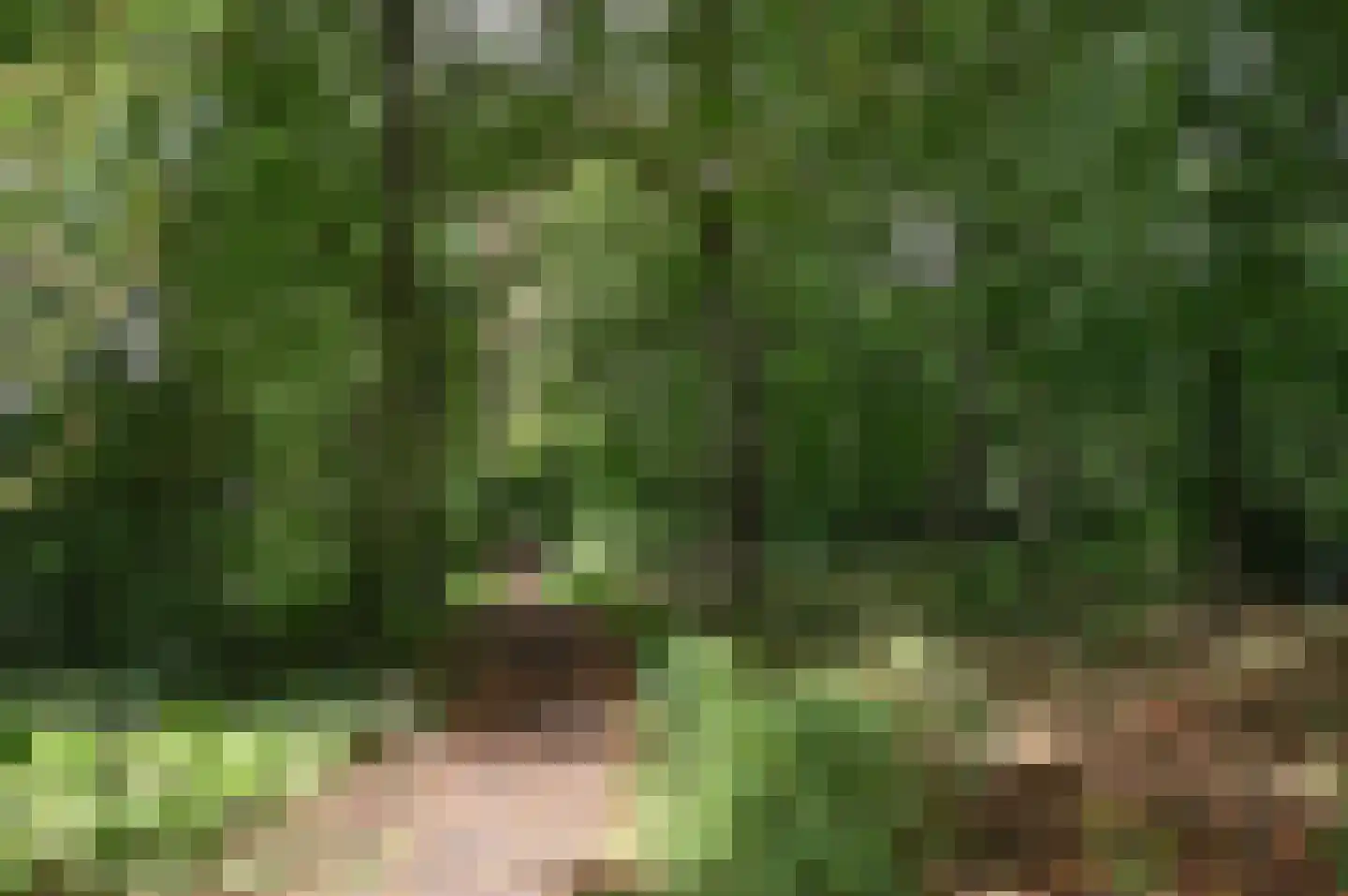 Colenso 56 Soest thumbnail 25
