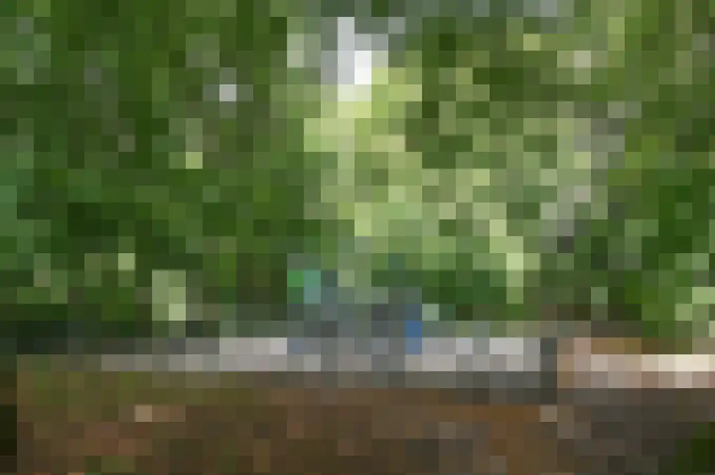Colenso 56 Soest thumbnail 26