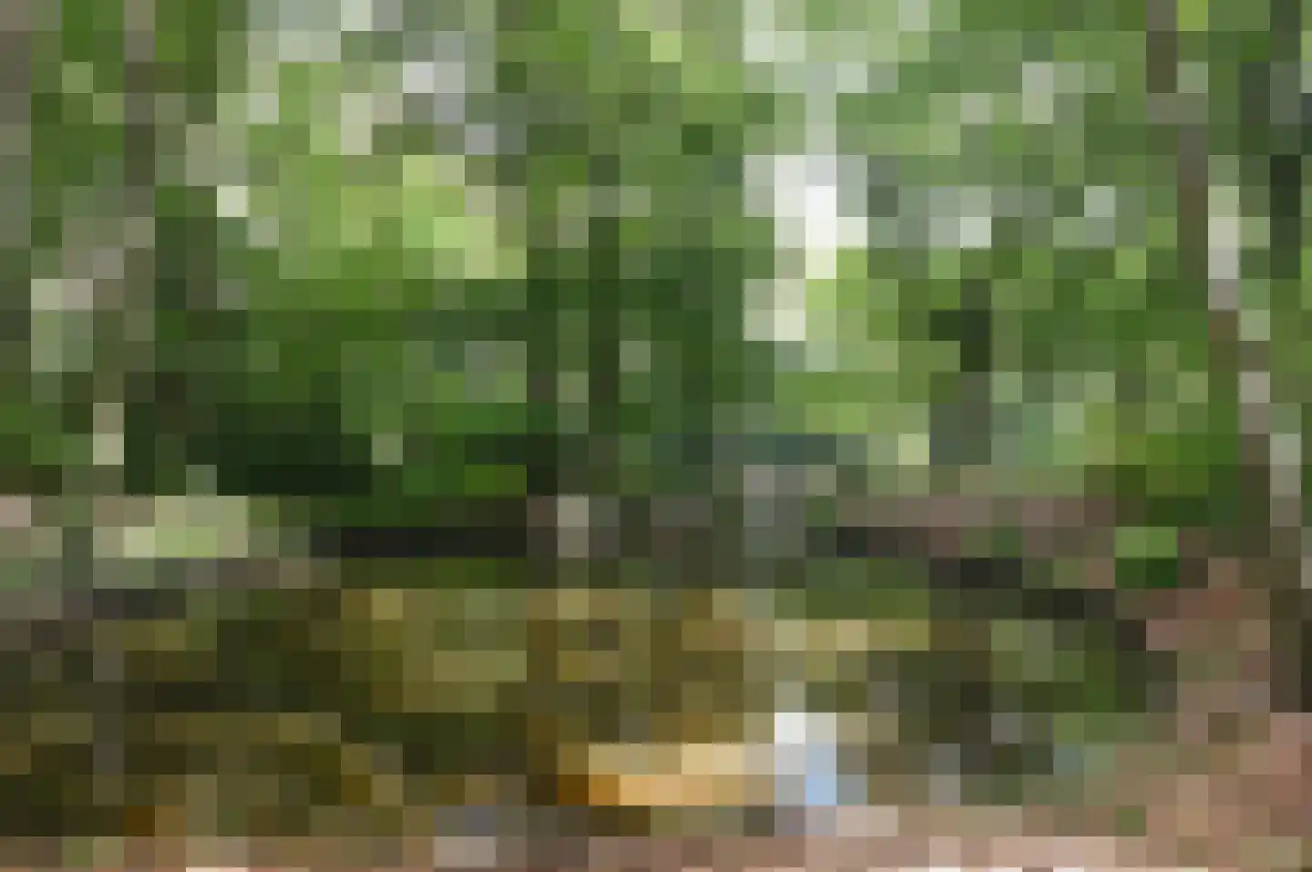 Colenso 56 Soest thumbnail 27