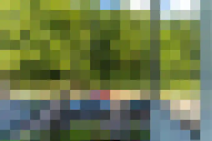 Colenso 64 Soest thumbnail 23