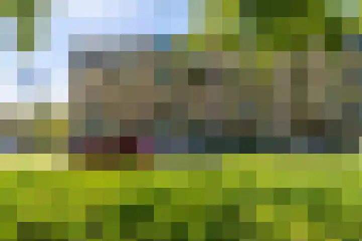 Colenso 64 Soest thumbnail 31