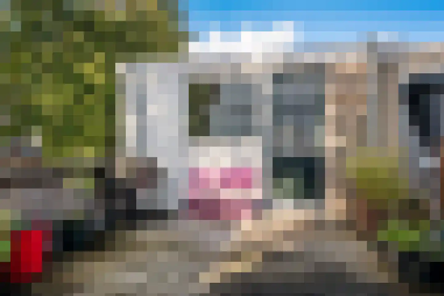 Colensostraat 2 Haarlem thumbnail 19