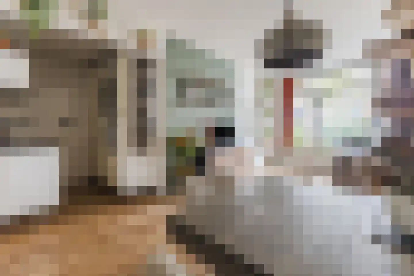 Colensostraat 27 ZW Haarlem thumbnail 21