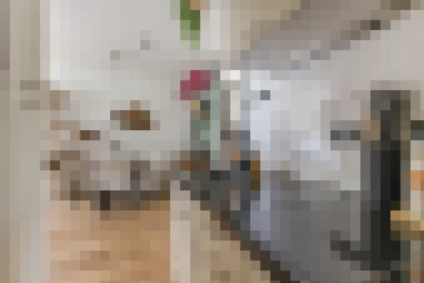Colensostraat 27 ZW Haarlem thumbnail 23