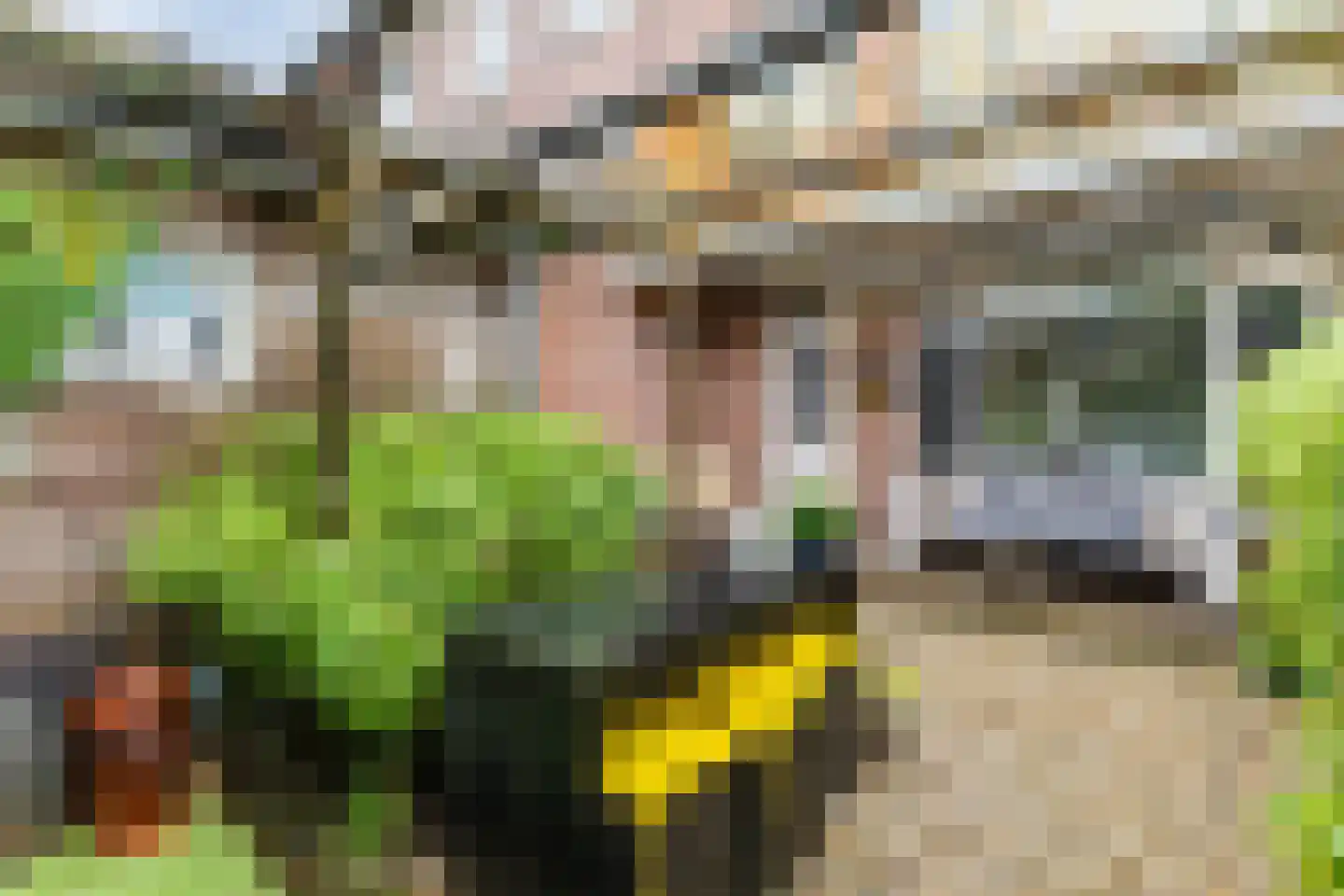 Colensostraat 27 ZW Haarlem thumbnail 38