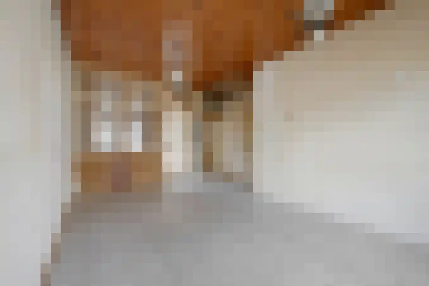 Colensostraat 58 ZW Haarlem thumbnail 6
