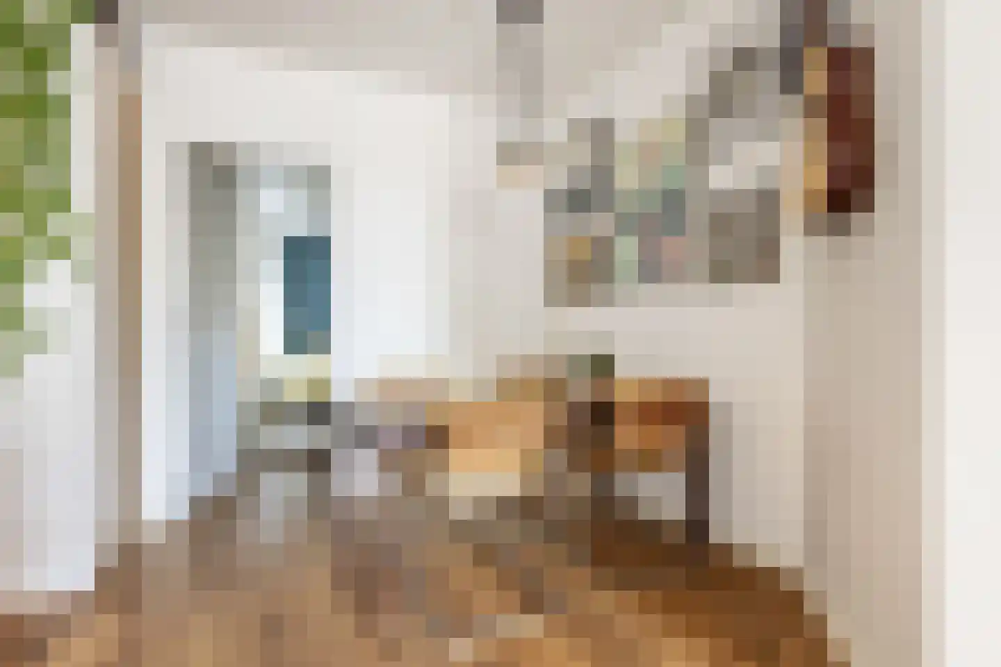 Colensostraat 9 ZW Haarlem thumbnail 10