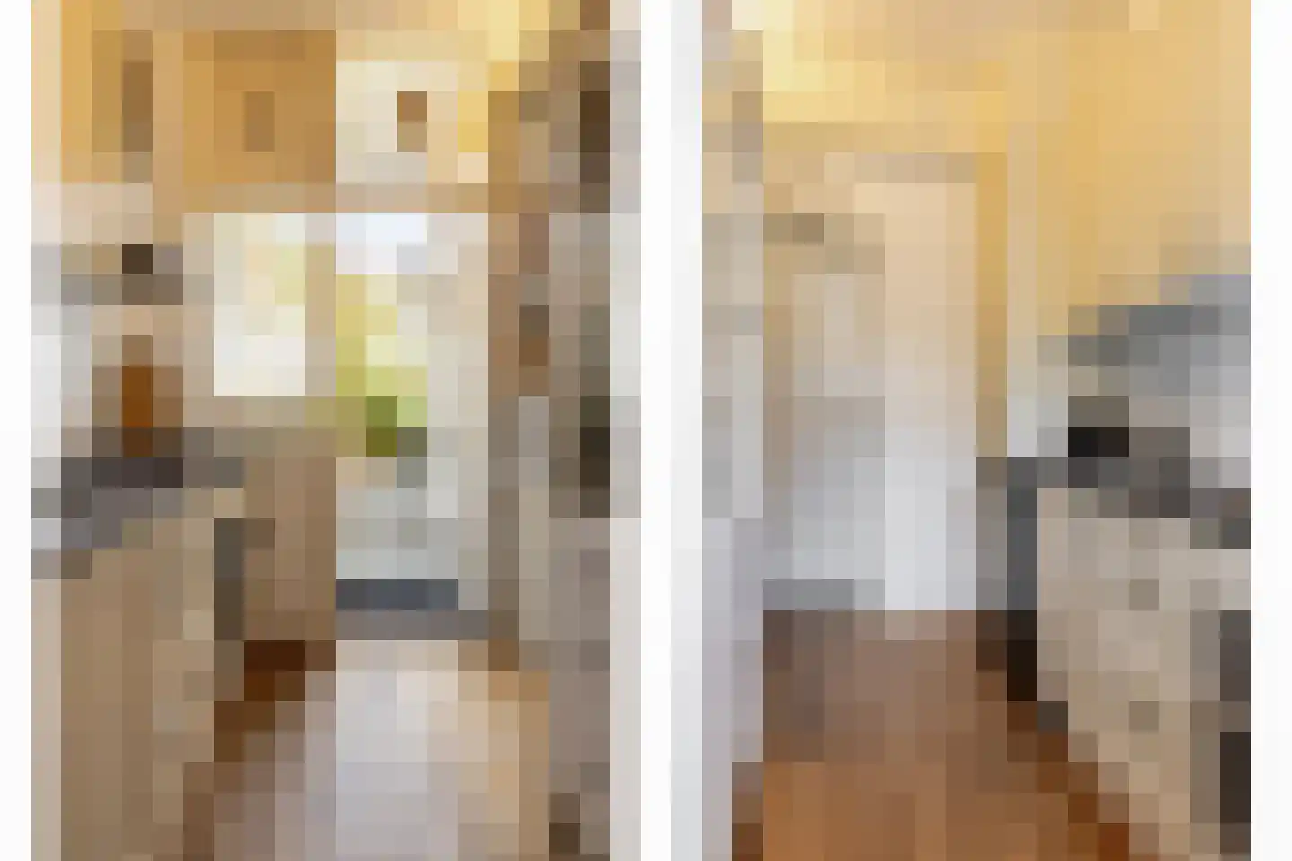 Colensostraat 9 ZW Haarlem thumbnail 12