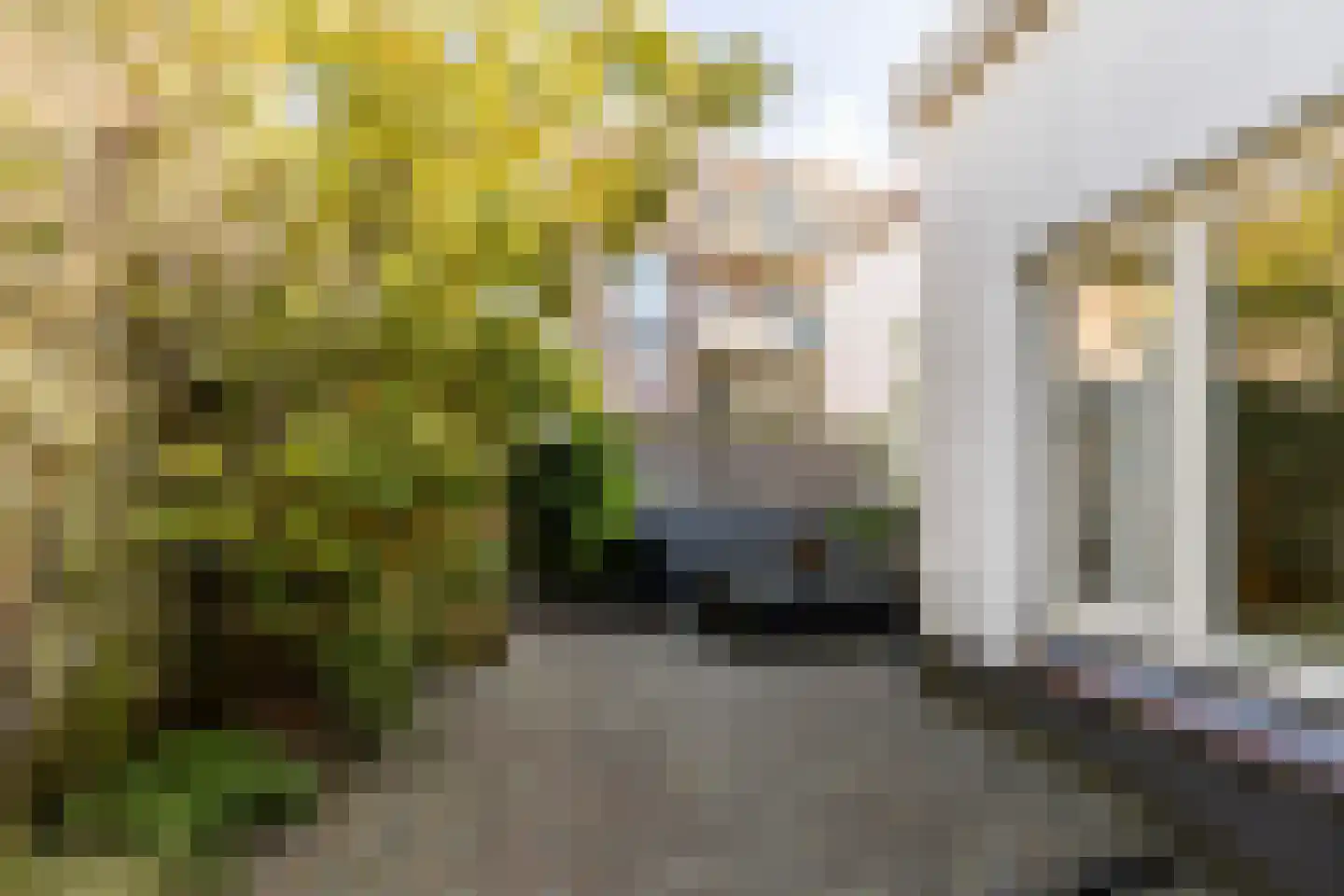 Colensostraat 9 ZW Haarlem thumbnail 18