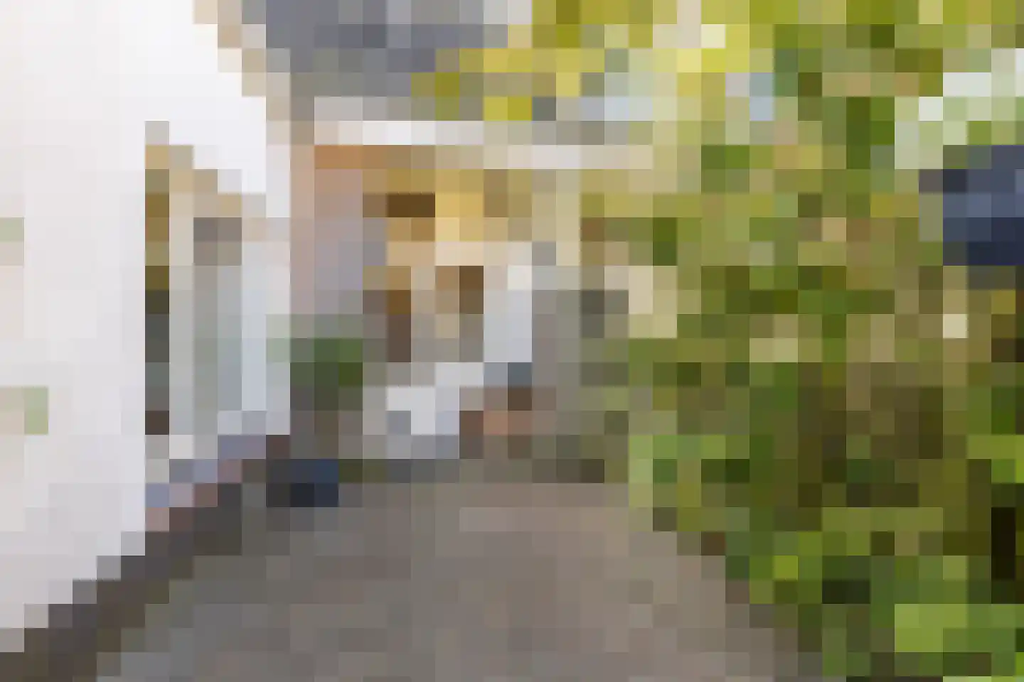 Colensostraat 9 ZW Haarlem thumbnail 20