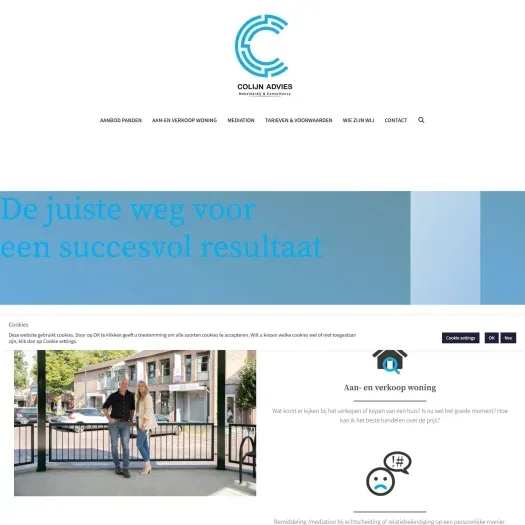 Screenshot of the website of www.colijnadvies.nl