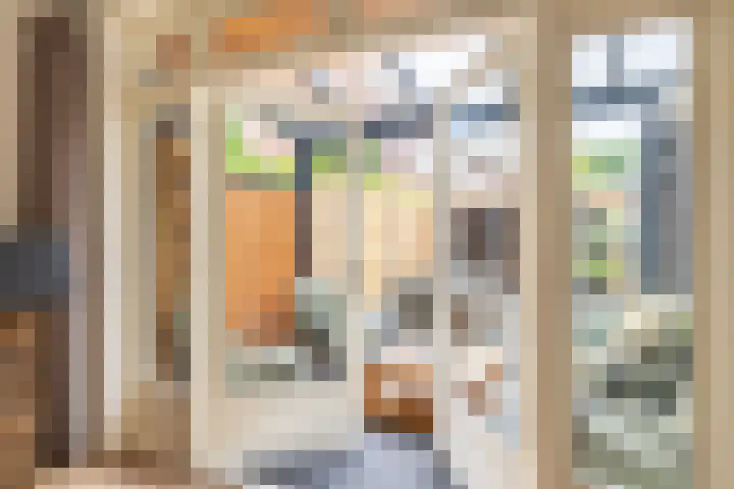 Colijn de Nolestraat 7 Kampen thumbnail 16