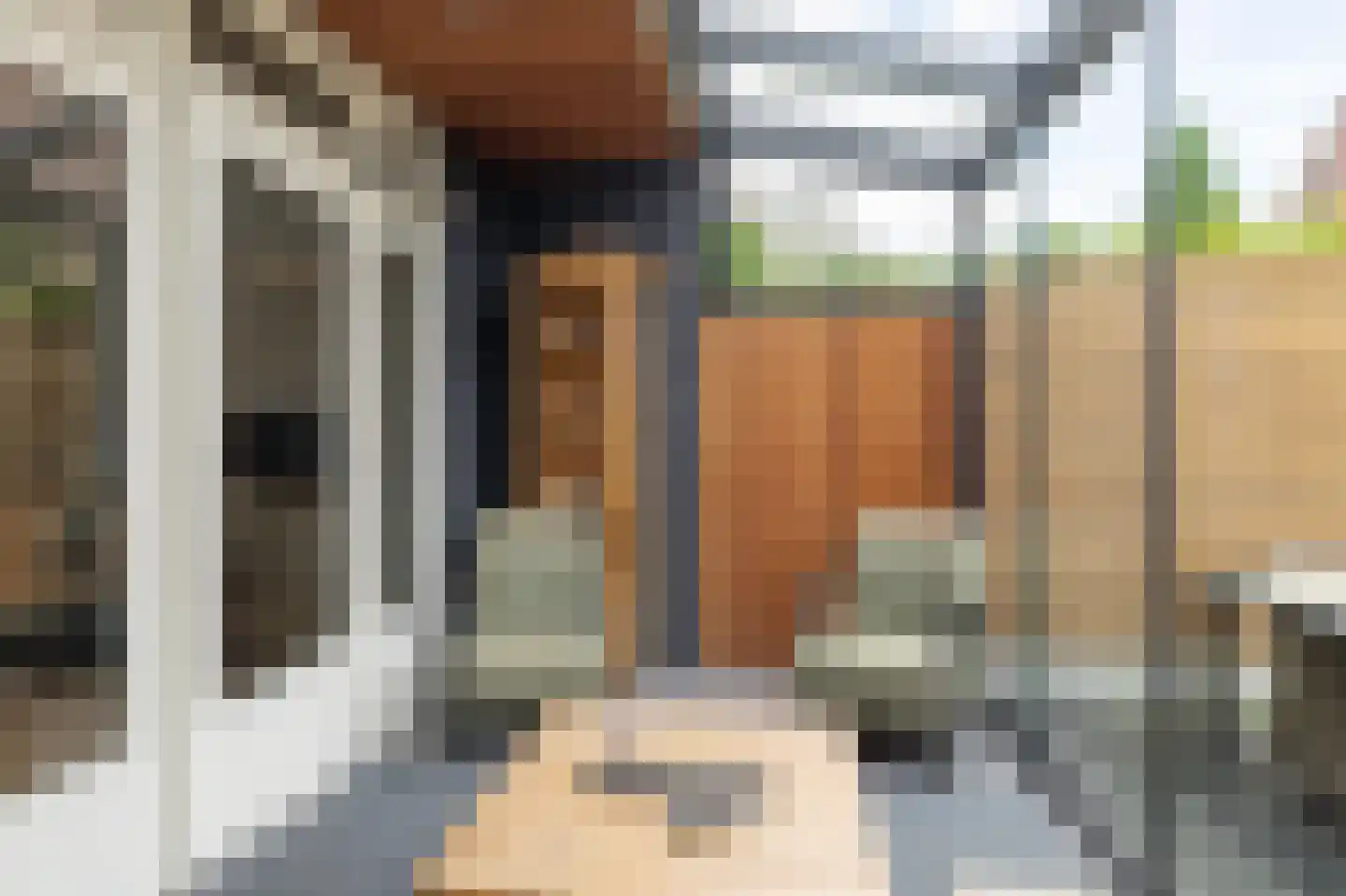 Colijn de Nolestraat 7 Kampen thumbnail 18