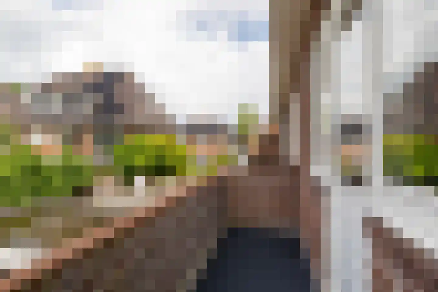 Colijn de Nolestraat 7 Kampen thumbnail 27