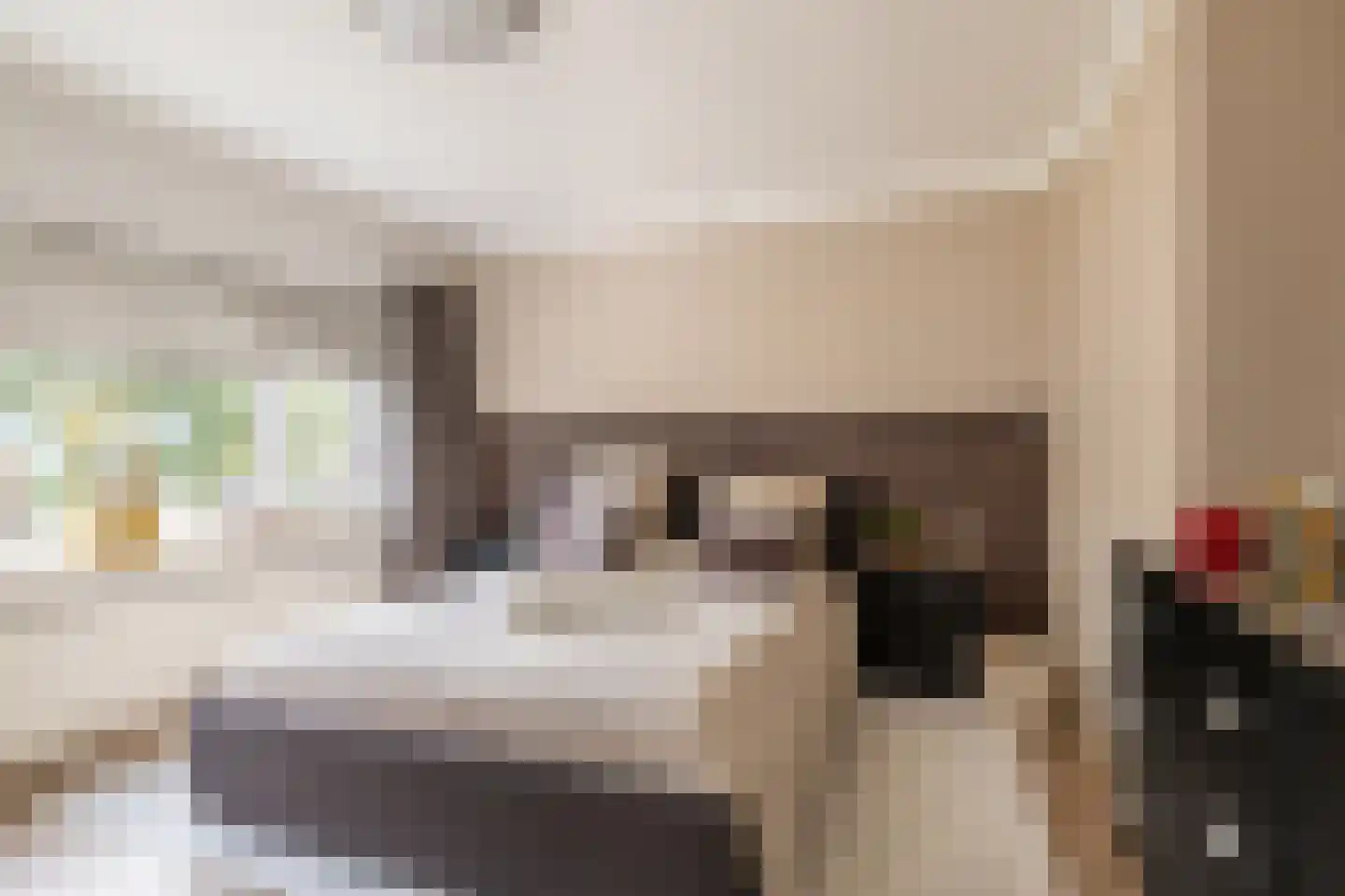 Colijn de Nolestraat 7 Kampen thumbnail 29