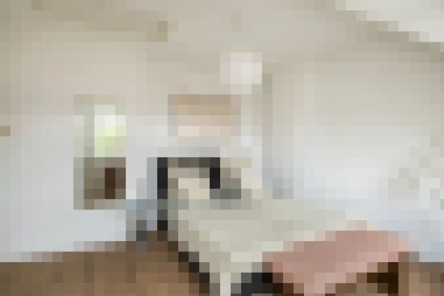 Colijn de Nolestraat 7 Kampen thumbnail 37