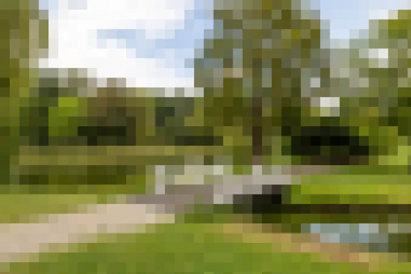 Colijn de Nolestraat 7 Kampen thumbnail 51
