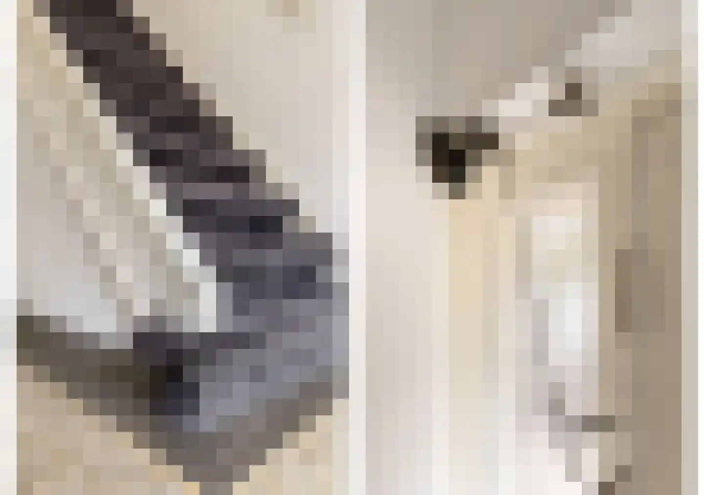 Colijn de Nolestraat 7 Kampen thumbnail 6