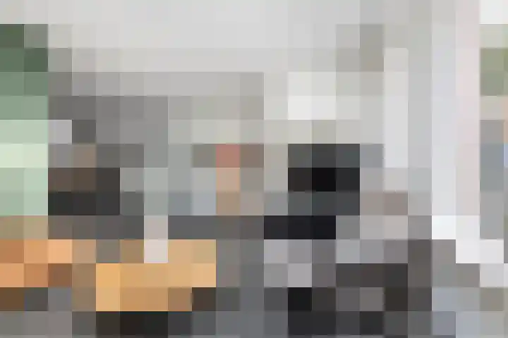 Colijnhof 14 Wezep thumbnail 11