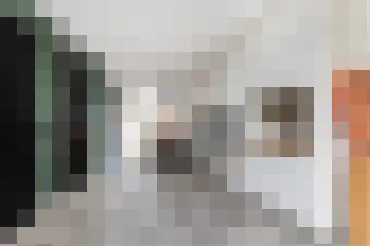 Colijnhof 14 Wezep thumbnail 13