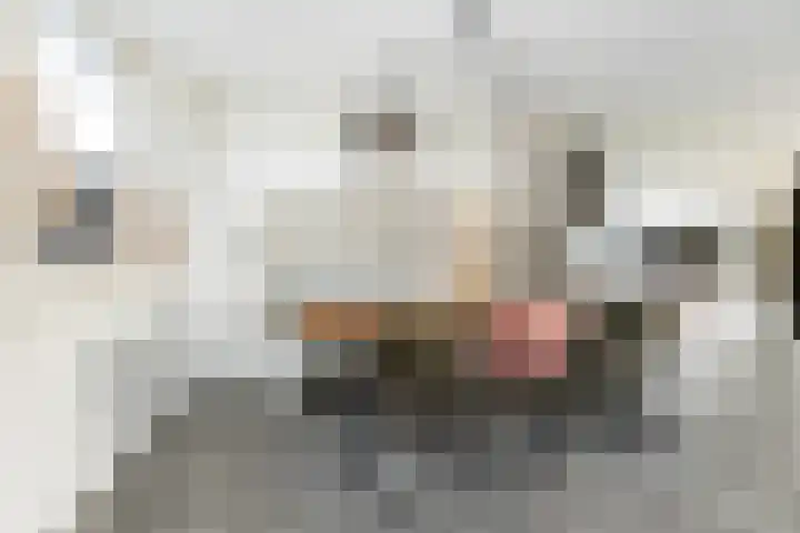Colijnhof 14 Wezep thumbnail 16