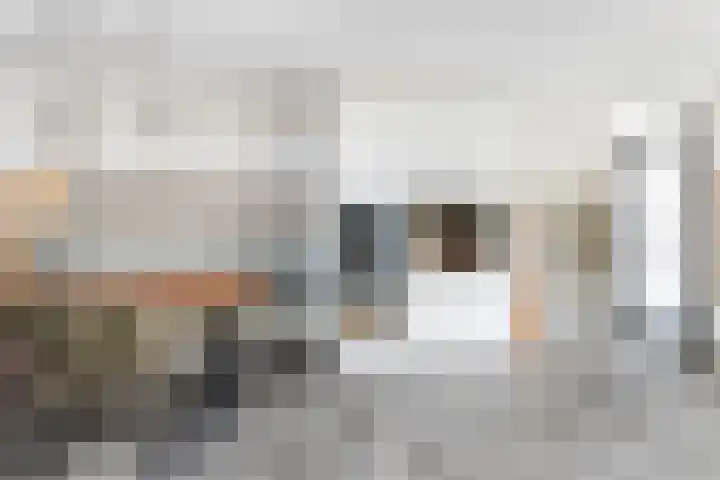Colijnhof 14 Wezep thumbnail 17