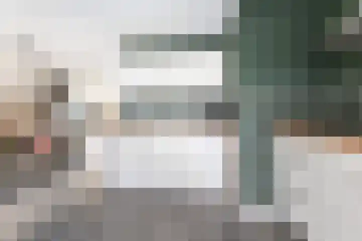 Colijnhof 14 Wezep thumbnail 19