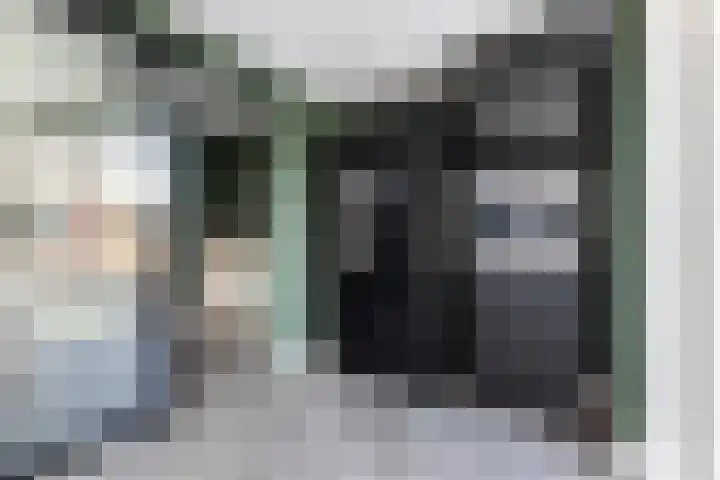 Colijnhof 14 Wezep thumbnail 21