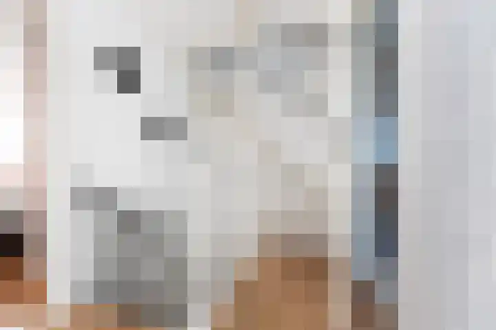 Colijnhof 14 Wezep thumbnail 23