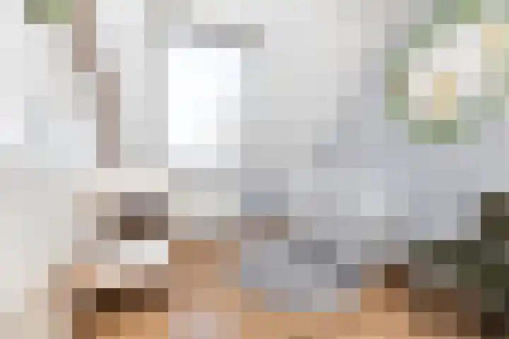 Colijnhof 14 Wezep thumbnail 27
