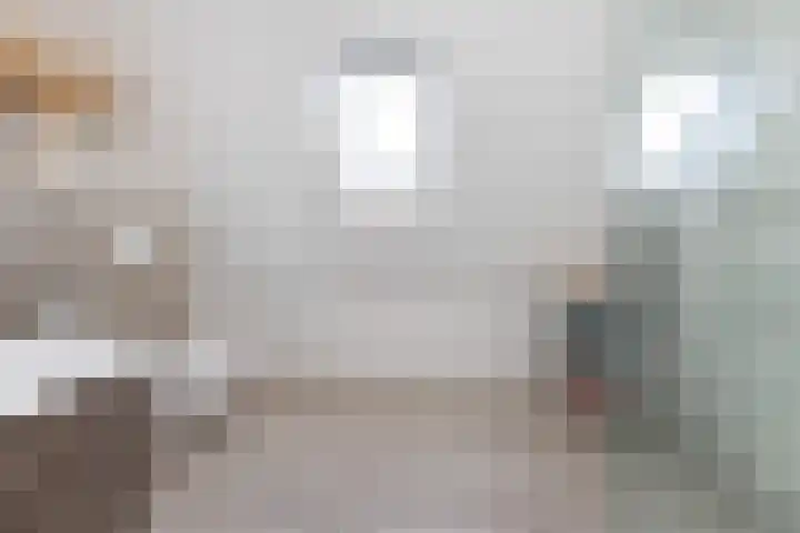 Colijnhof 14 Wezep thumbnail 28
