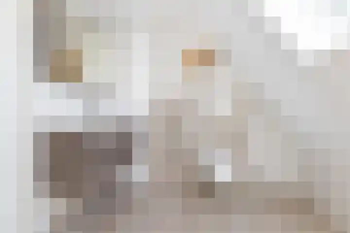 Colijnhof 14 Wezep thumbnail 29