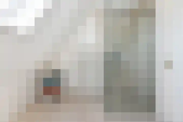 Colijnhof 14 Wezep thumbnail 30