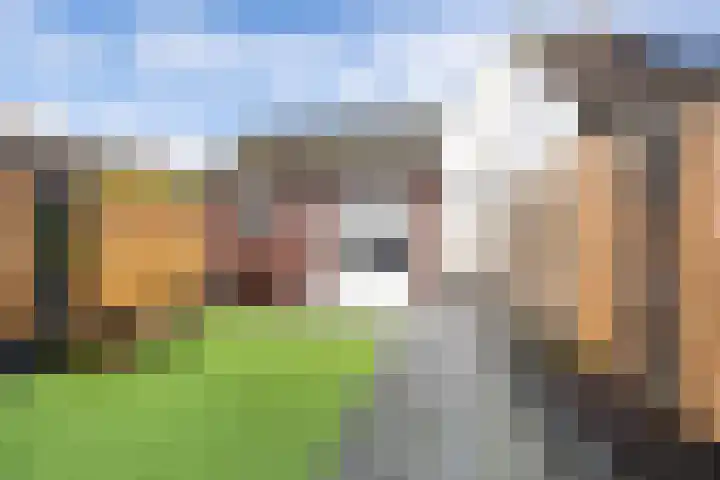 Colijnhof 14 Wezep thumbnail 38
