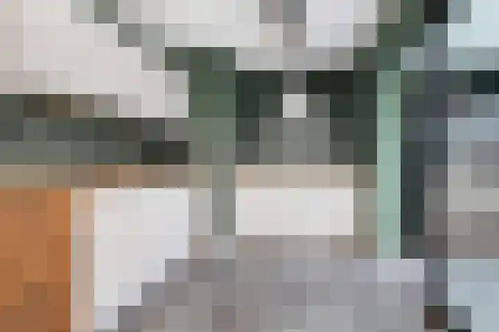 Colijnhof 14 Wezep thumbnail 4