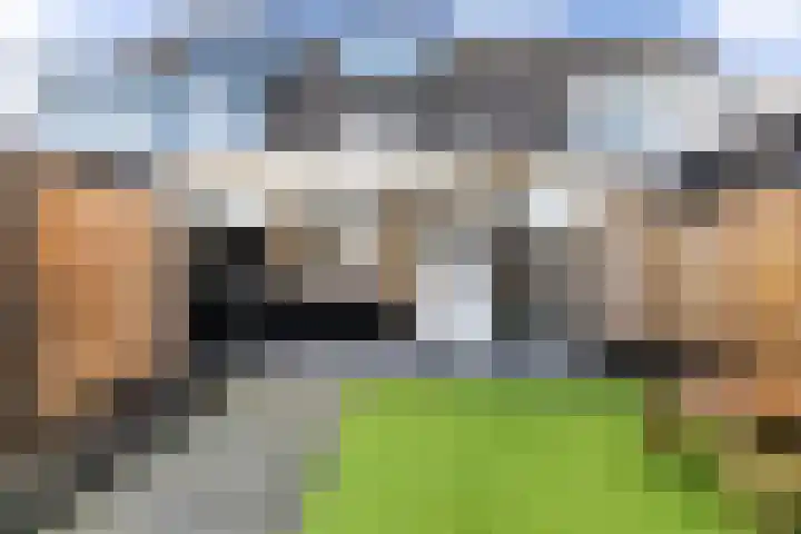 Colijnhof 14 Wezep thumbnail 40
