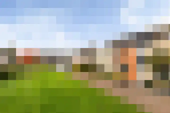 Colijnhof 14 Wezep thumbnail 41
