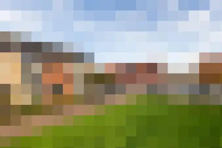 Colijnhof 14 Wezep thumbnail 5