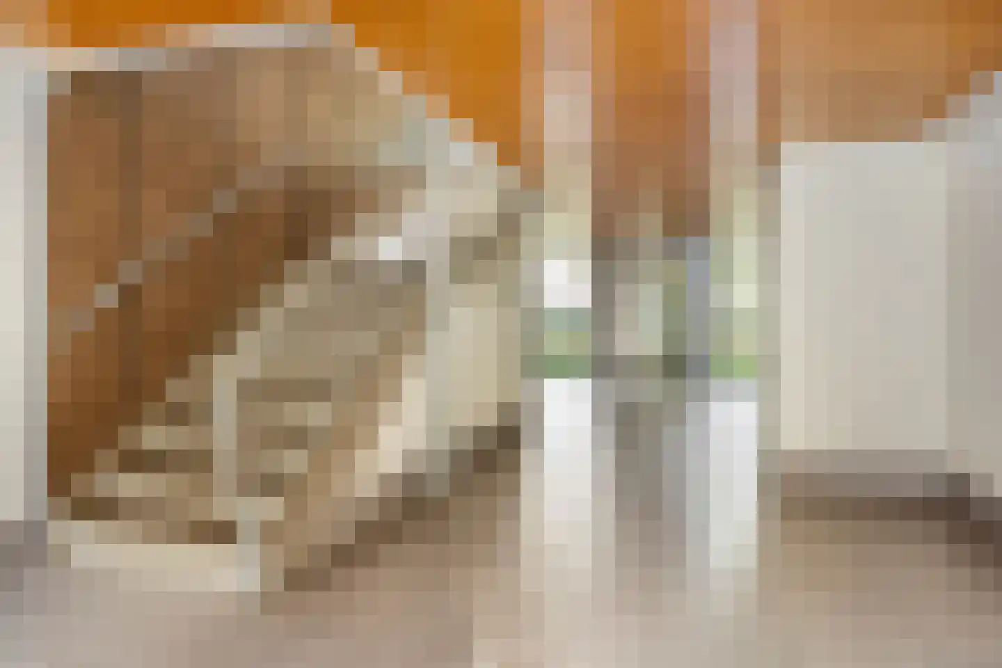 Colijnlaan 1 Pijnacker thumbnail 10