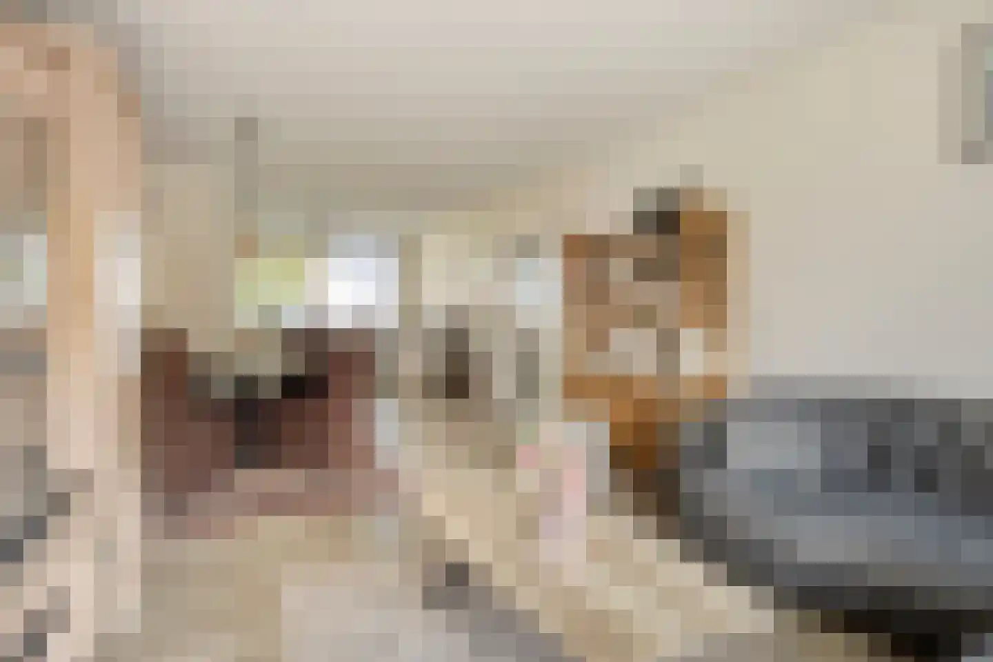 Colijnlaan 1 Pijnacker thumbnail 15