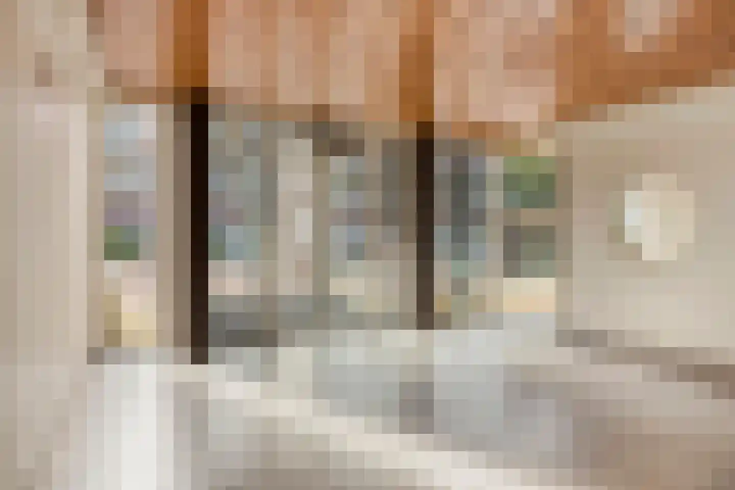 Colijnlaan 1 Pijnacker thumbnail 9
