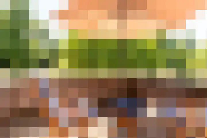Colijnlaan 164 Uithoorn thumbnail 23