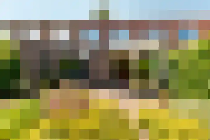 Colijnlaan 164 Uithoorn thumbnail 27